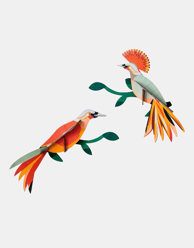 Studio Roof  - Wall Art Paradise Birds (B5) Obi