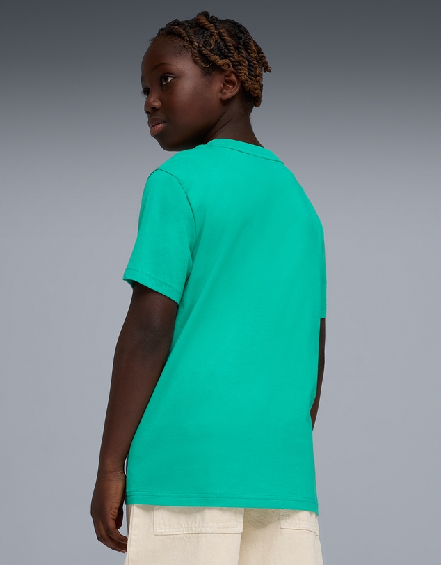 Puma - ESS 2 Color No.1 Logo Tee - Teens