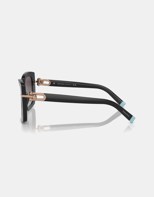 Tiffany & Co. - 0TF4199