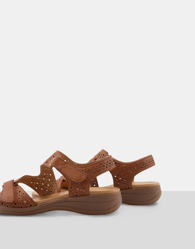 CoraSol - Dune
