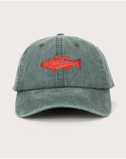 Pallion Point - Coral Trout Fish Lid