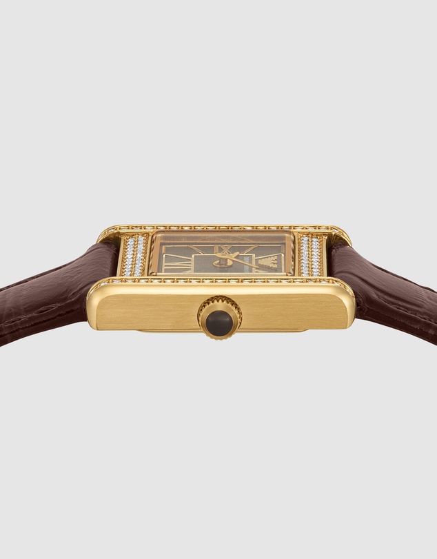 Emporio Armani - Brown Analogue Watch