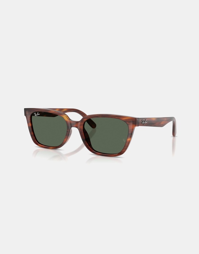 Ray-Ban - 0RB2243D