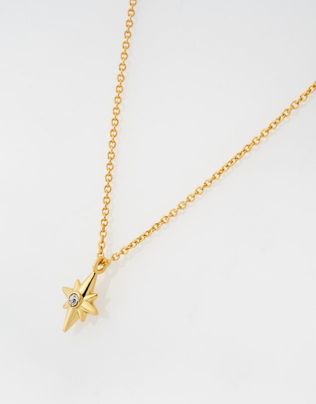 Ted Baker - SARI: Star Charm Adjustable Pendant