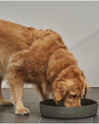 Lilly + Dash - 7L Outdoor Ceramic Dog Water Bowl