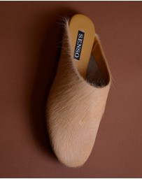 Senso - Caelan