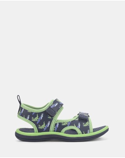 Navy Surf Dino 