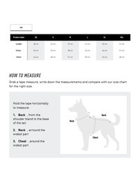 adidas Originals - adidas Pet Cali Tee