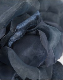 Fillies Collection - Large Flower Fascinator Headband