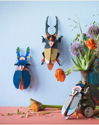 Studio Roof  - Wall Art Beetles A4