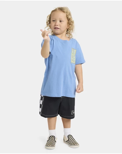 Quiksilver - Boys 2 to 7 Radical Times T-Shirt
