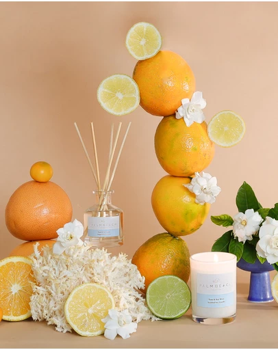 Palm Beach Collection - Yuzu & Sea Moss 90g Mini Candle