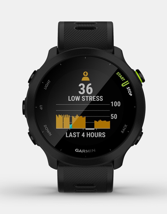 Garmin - Forerunner 55 GPS Running Watch