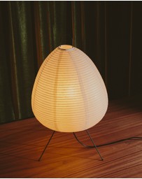 Dennis Did It - Absolutely Necessary Lamp