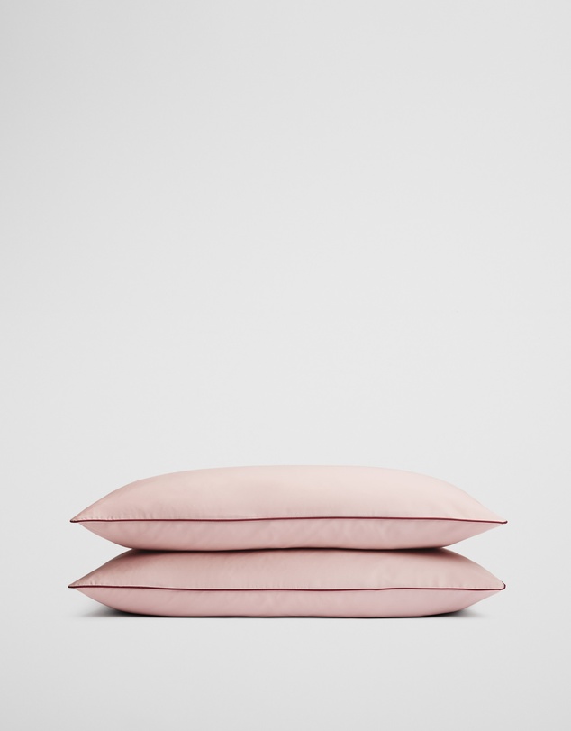 Country Road - Dita Organically Grown Cotton Standard Pillowcase Pair