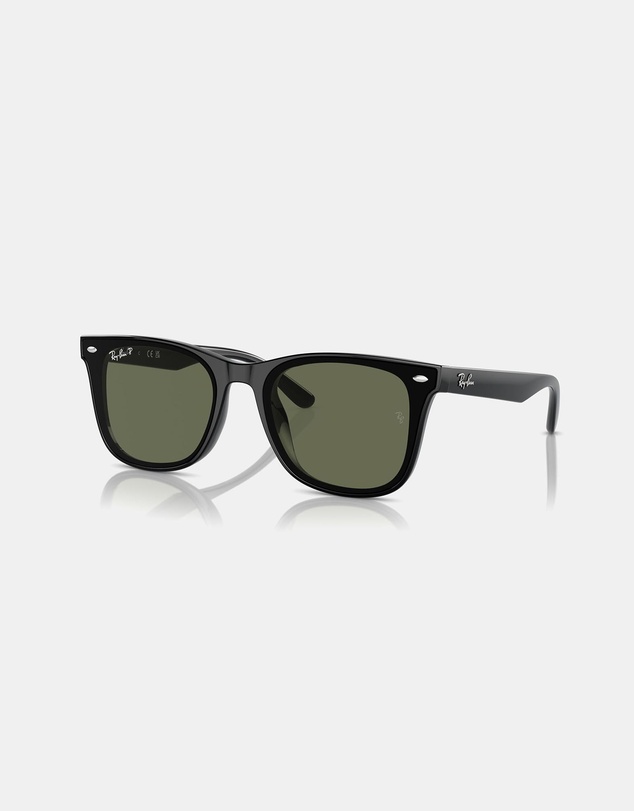 Ray-Ban - 0RB4420