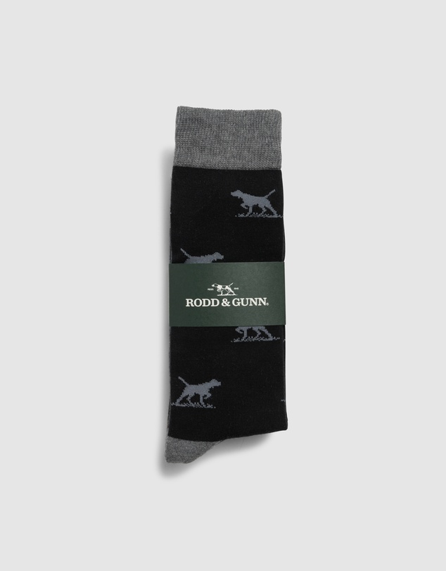 Rodd & Gunn - Dogs-A-Plenty Three Pack Socks
