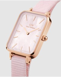 Daniel Wellington - Quadro Coral Pearl