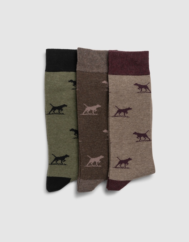 Rodd & Gunn - Dogs-A-Plenty Three Pack Socks