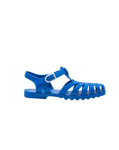 Bleu Roy