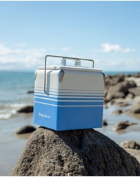 Napoleon Goods - Mini Cooler