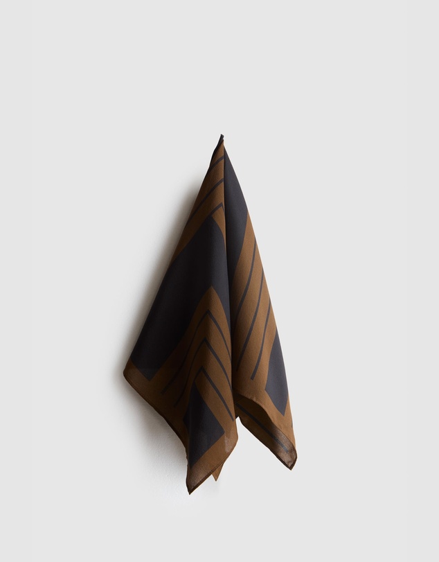 Evity - Silk Scarf Stripe Print