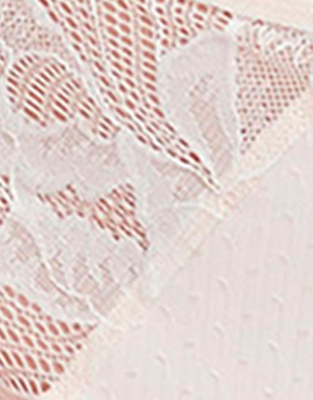 Sans Complexe - Capucine Low Rise Two-Tone Lace Brief