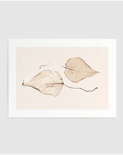Olive et Oriel - Feuille D'or II Art Print