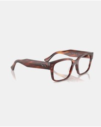 Ray-Ban Optical - Evolution