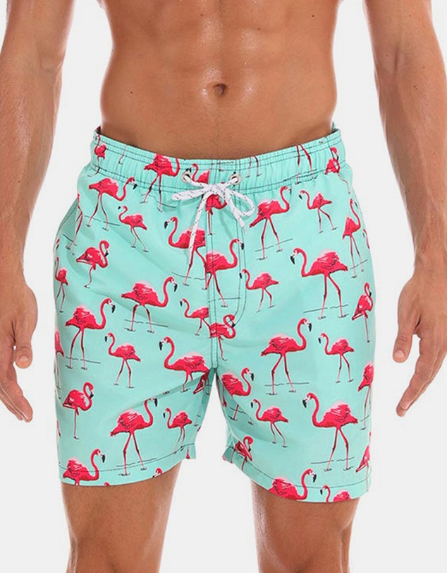 Vacancy Co - Lingo Swim Short