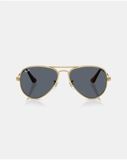 Ray-Ban - Aviator Max