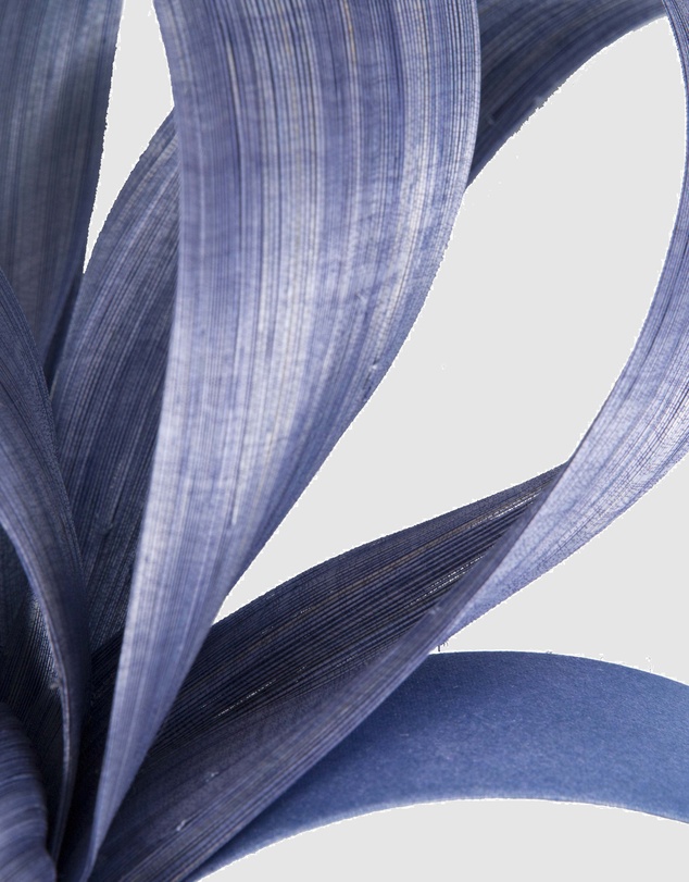 Fillies Collection - Denim Blue Silk Abaca Loops Racing Fascinator