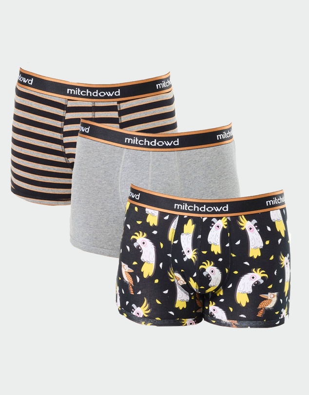 Mitch Dowd - Mitchdowd Mens 3 Pack Trunks in Stripe, Grey and Cockatoo Print