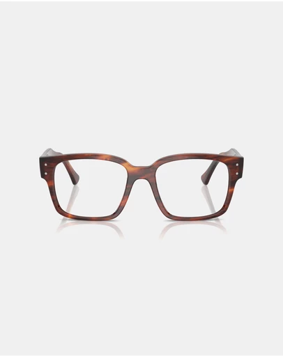 Ray-Ban Optical - Evolution