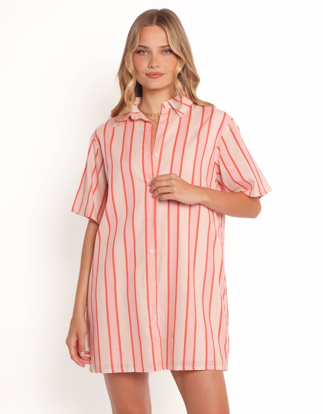 Petal & Pup - Norah Mini Dress - Pink Stripe