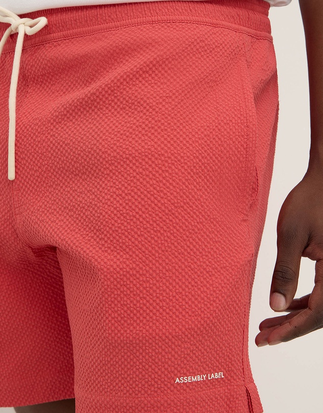 Assembly Label - Seth Swim Shorts