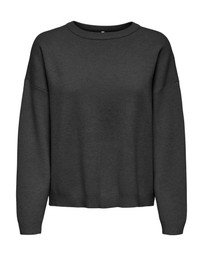 ONLY - Libi Oversized Sweatshirt