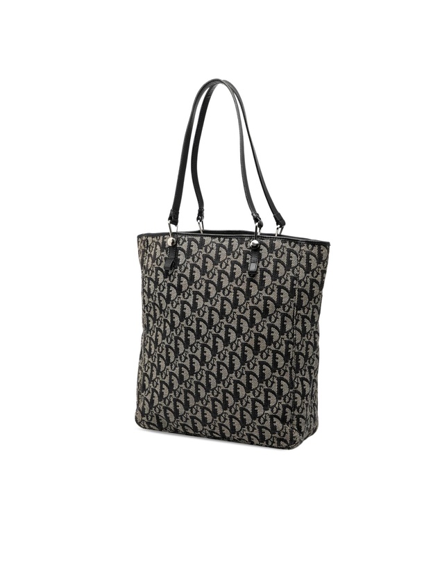 Pre-Loved by Azura Reborn - Pre-Loved Oblique Canvas Tote