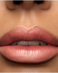 Lancome - L'Absolu Rouge Cream Lipstick 00