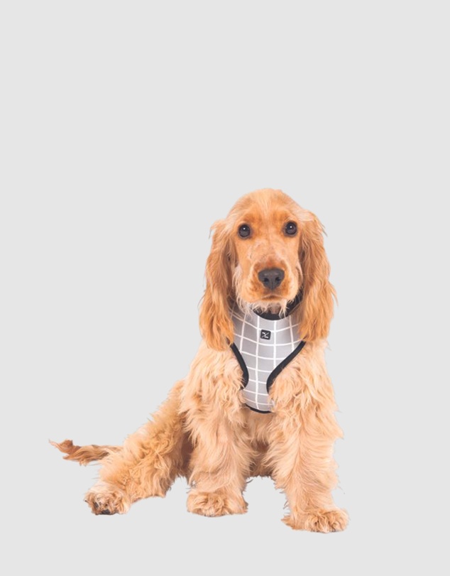Mog & Bone - Neoprene Dog Harness - Grey Check Print