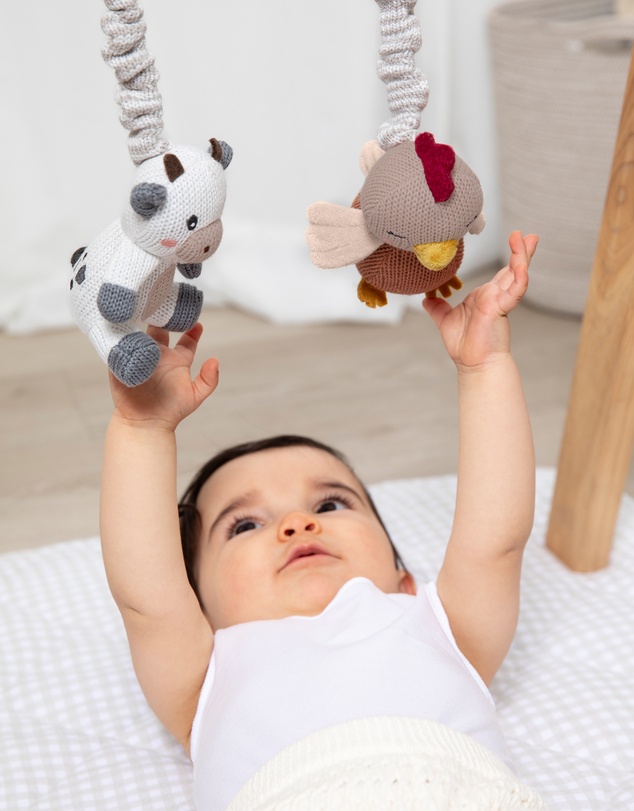 Living Textiles - 2pk Stroller Toy - Cow & Chicken