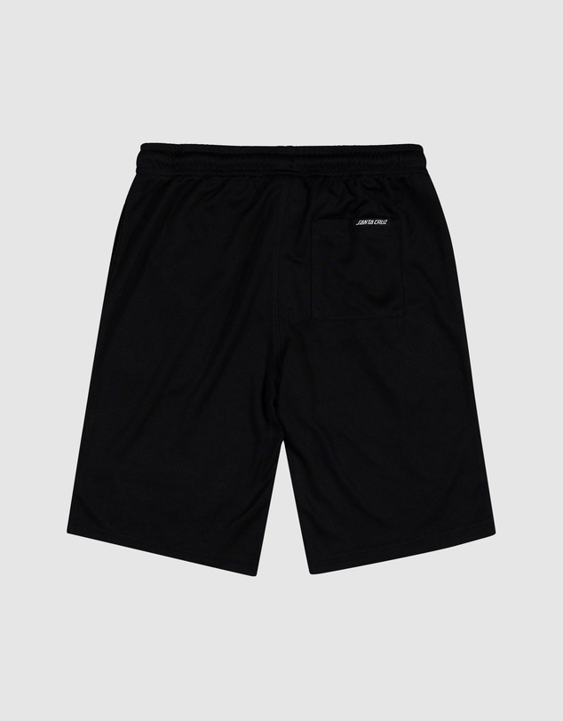 Santa Cruz - Collegiate Arch 73 Track Shorts - Teens
