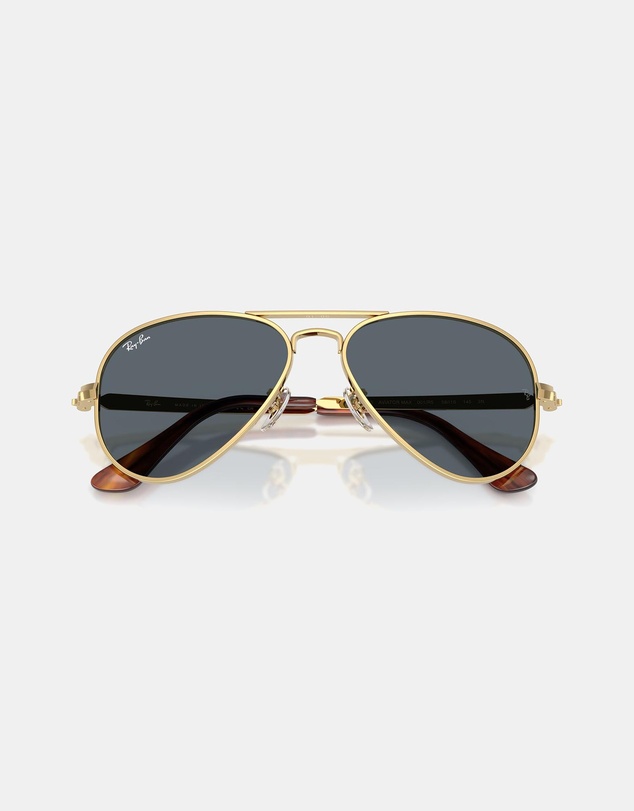 Ray-Ban - Aviator Max
