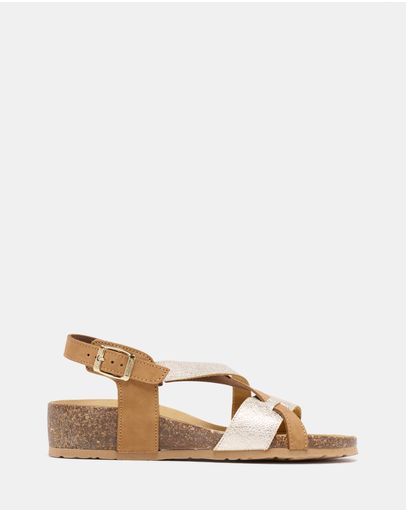 Tan / Gold