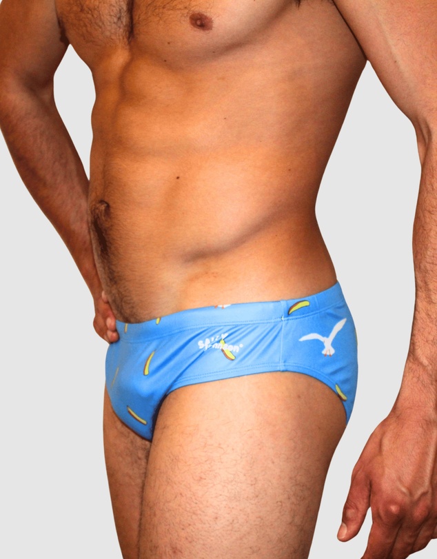 Salty Johnson - Hot Chips Brief