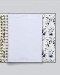 Write to Me - Bump Pregnancy Journal Boxed