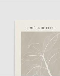 Olive et Oriel - Lumiere De Fleur II