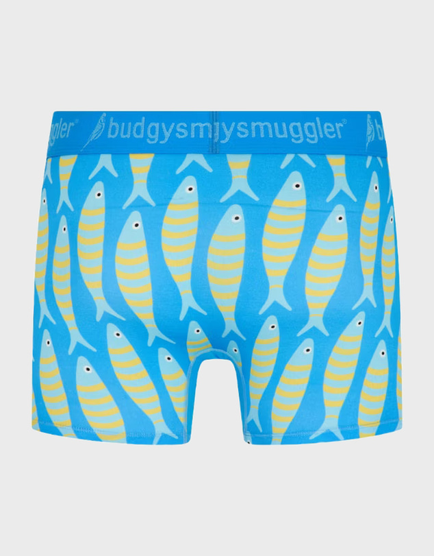 Budgy Smuggler - Men's Underwear Trunks in Sardines