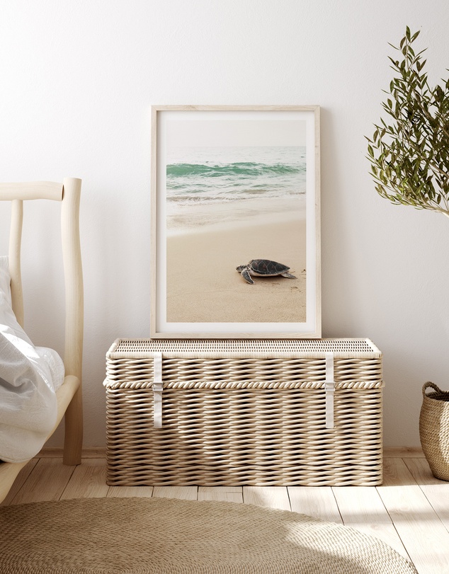 Olive et Oriel - Little Turtle II Art Print