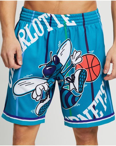 Charlotte Hornets Teal
